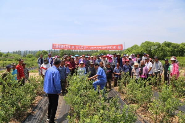 兴业·强县·富民｜通化县：小蓝莓串起全产业链绿色发展铺就富民路(图2)