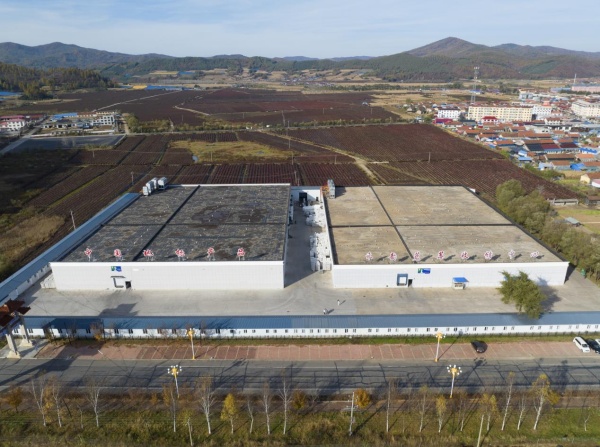 兴业·强县·富民｜通化县：小蓝莓串起全产业链绿色发展铺就富民路(图3)