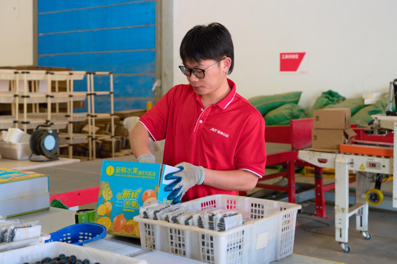 快递织网通山海 “云品出滇”销四方(图4)