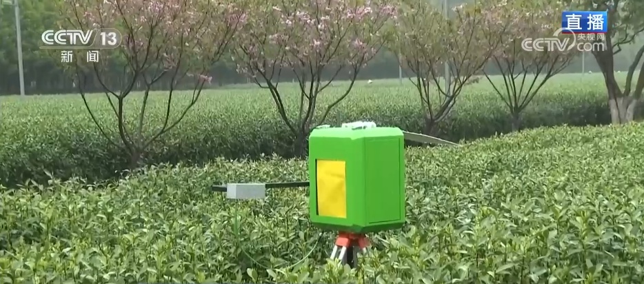 看见2030“十五五”新图景高科技装备成“新宠”传统茶园“数智”飘香(图2)