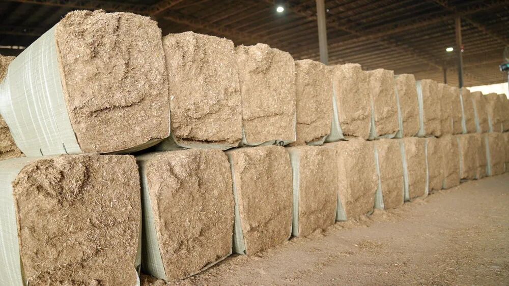 陇川：一片蔗叶里的绿色发展新答卷(图4)