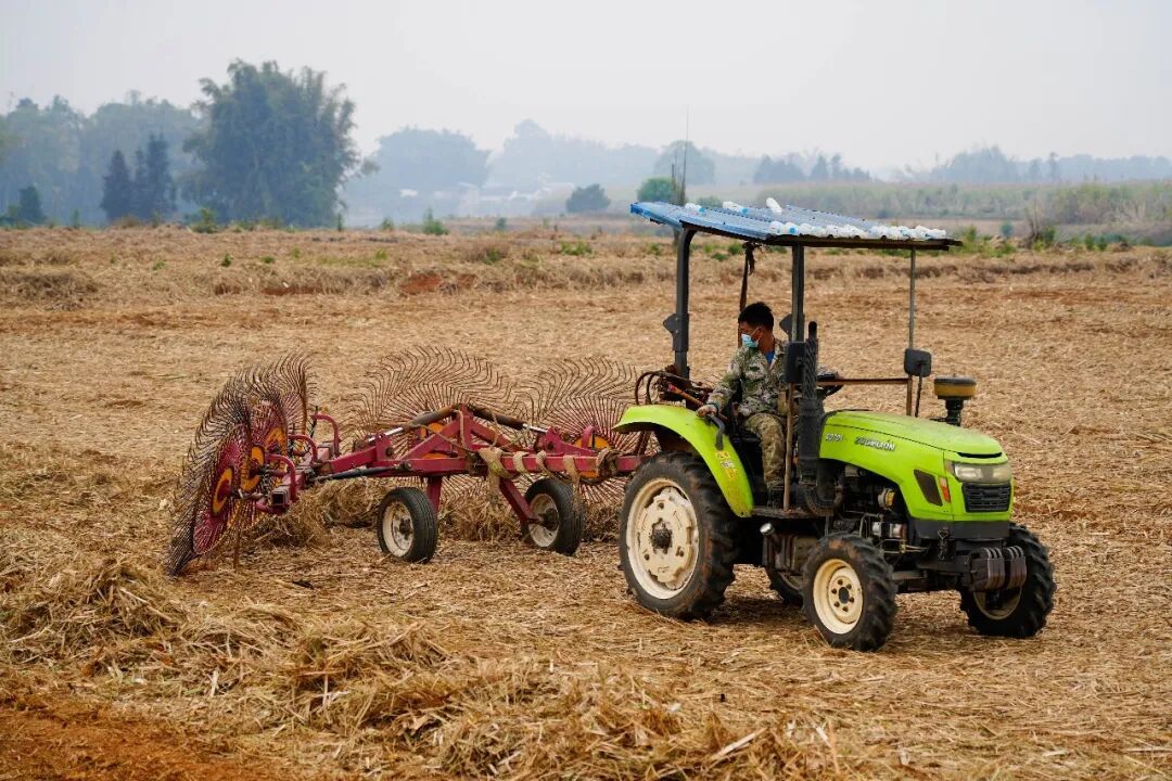 陇川：一片蔗叶里的绿色发展新答卷(图3)