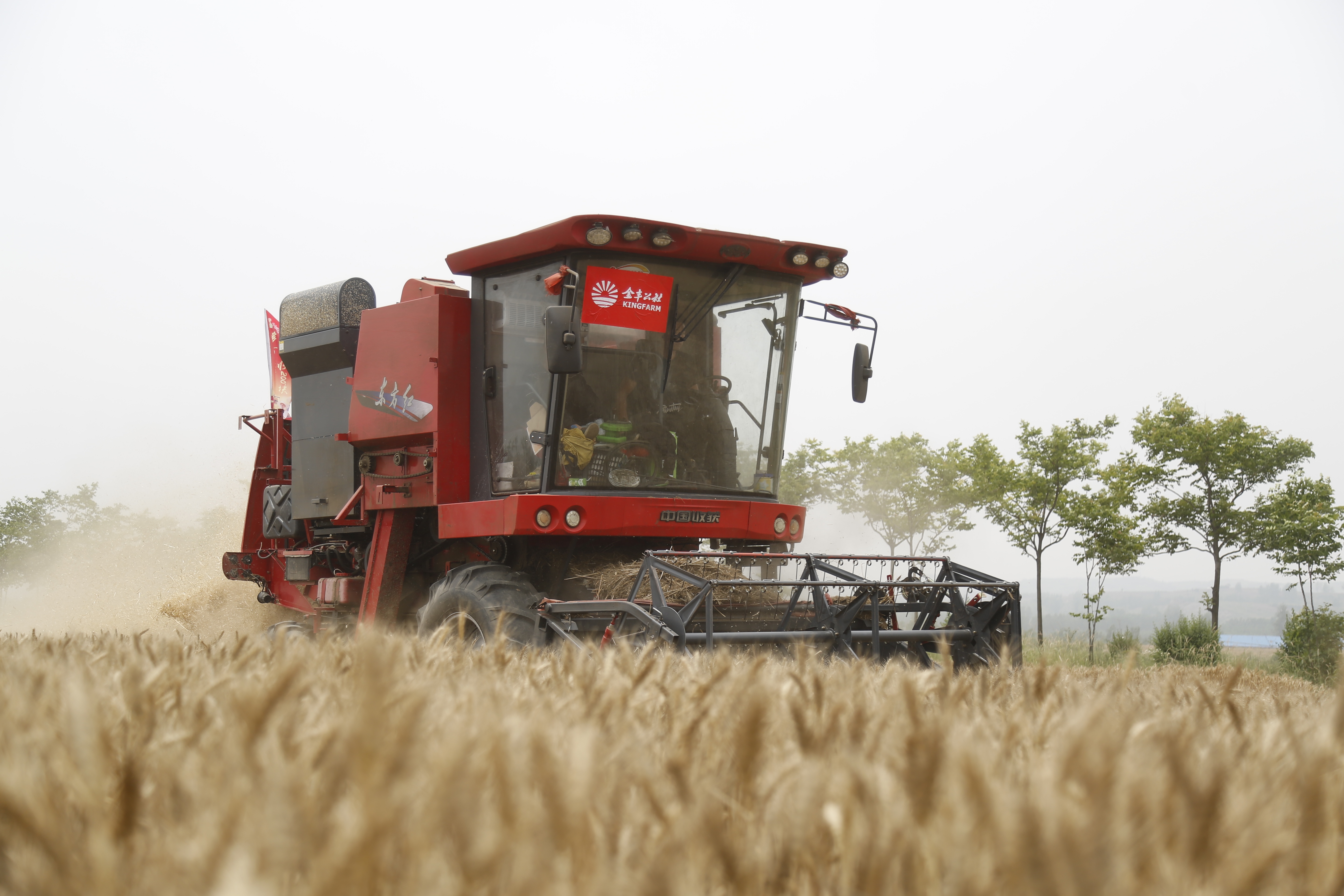 解读“金丰实践”探寻如何破解农服可持续盈利难题(图5)