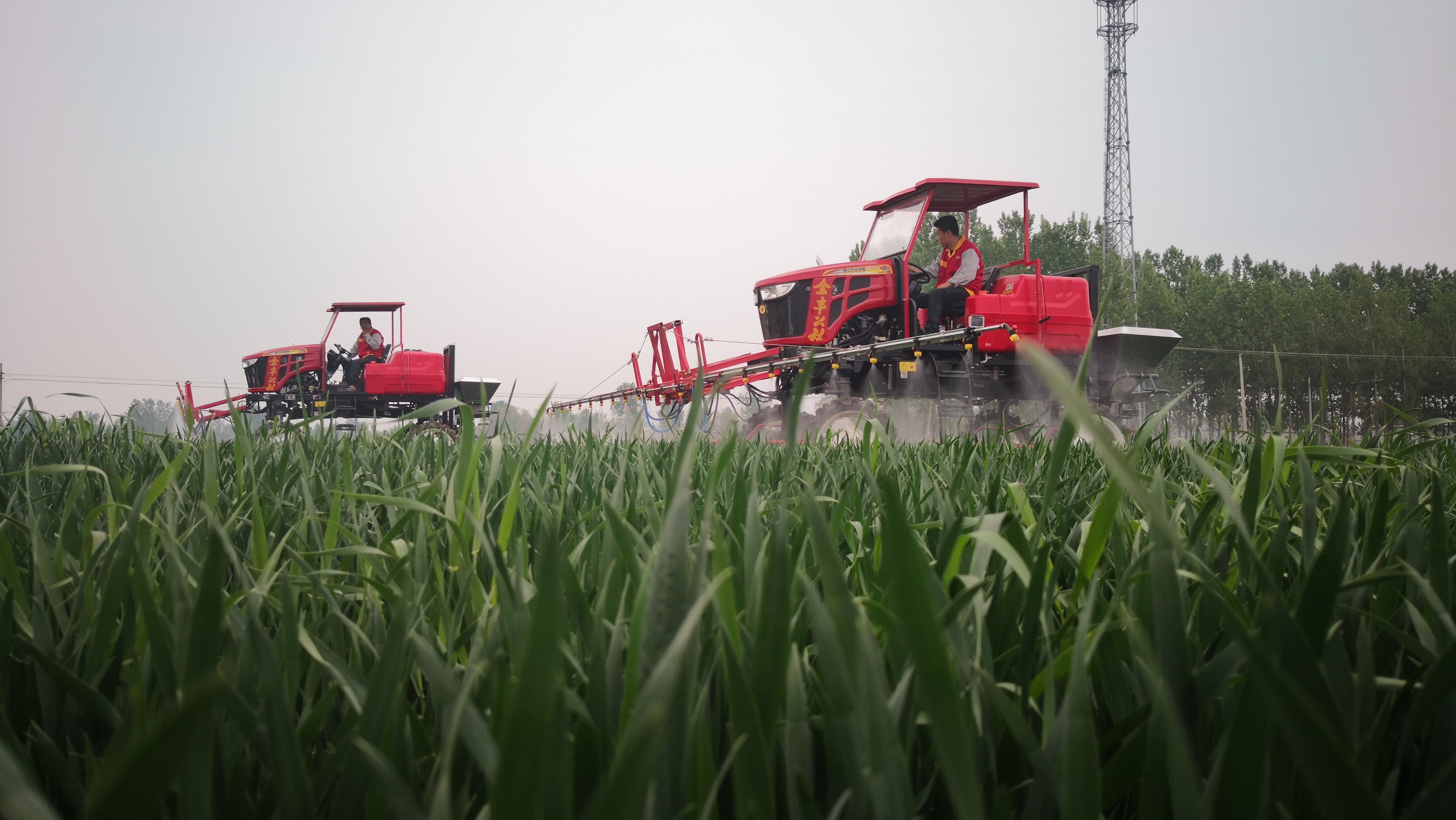 解读“金丰实践”探寻如何破解农服可持续盈利难题(图4)