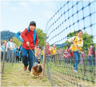 网友热议多地中小学开启春假模式——春光里乐享春假(图1)