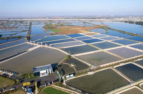 观潮的螃蟹湖南农产品如何跳出“价贱伤农”这类怪圈(图5)