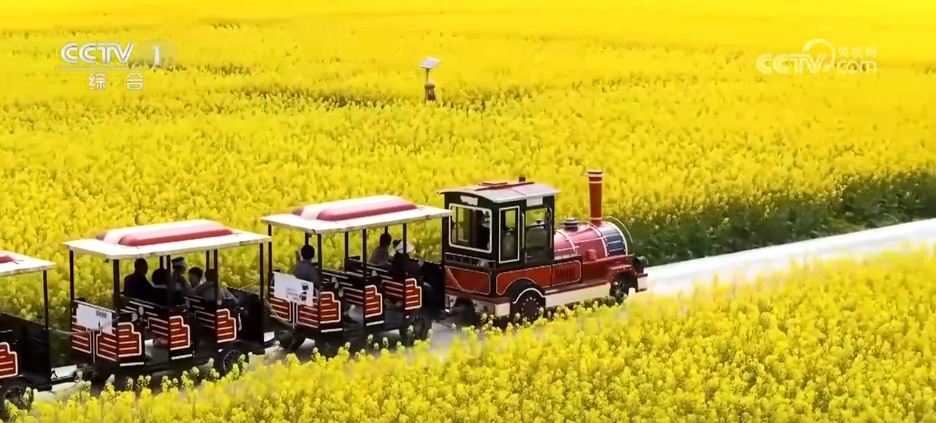 透过数据看亮点多领域“枝繁叶茂”折射中国经济活力满满(图1)