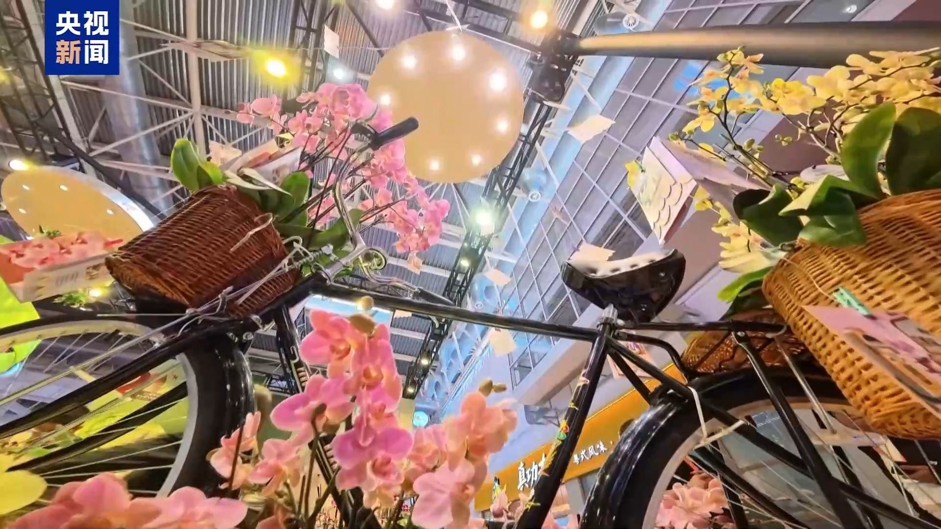 “齐天大圣”现身花卉展“新奇萌”和“怪可爱”新品火出圈(图3)