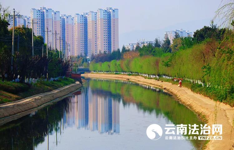 东河答案——一条河的清澈归途(图1)