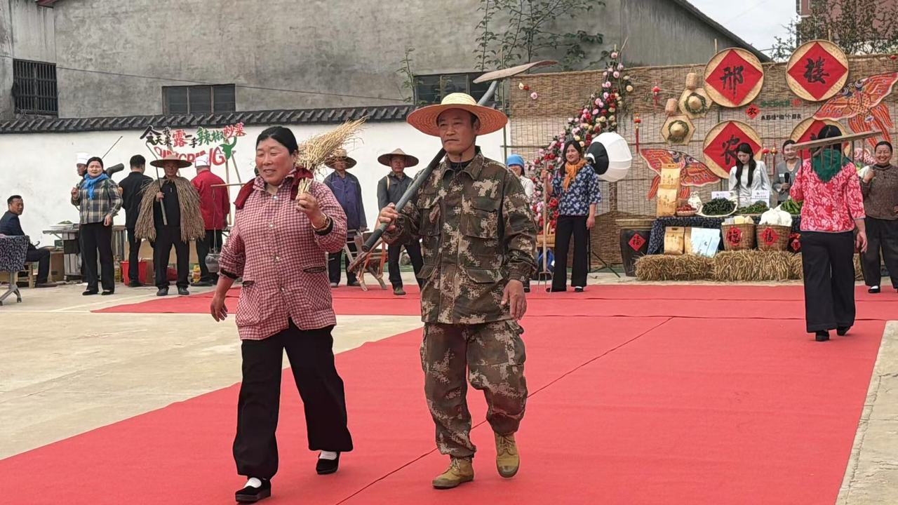 乡土味、烟火气十足！江苏邳州这场助农直播火出圈(图2)