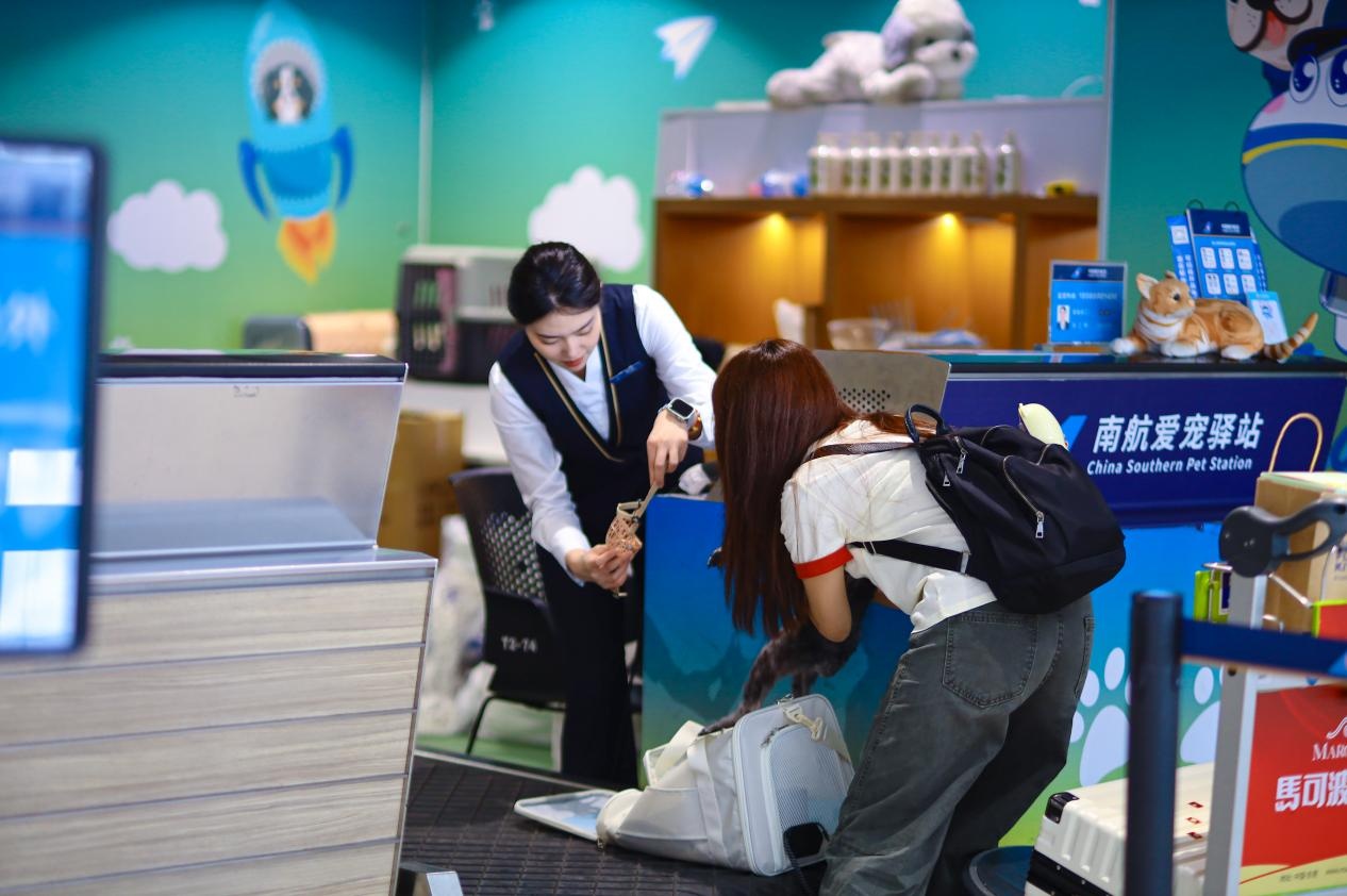 南航“爱宠进客舱”服务拓宽至国内35个机场站760条航线(图1)