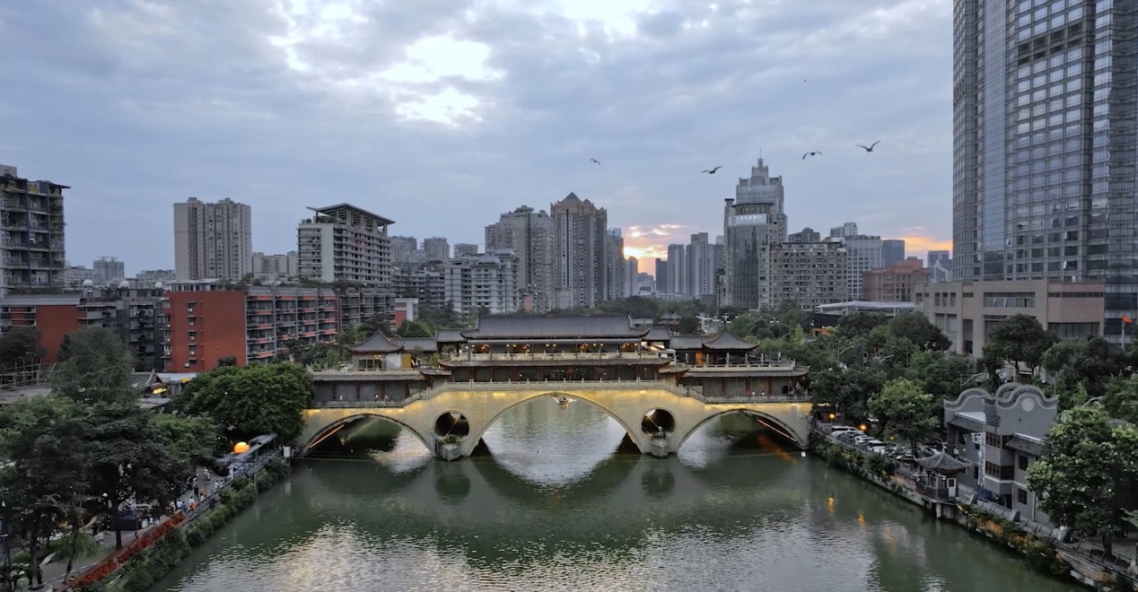 四川成都：水鸟翩跹尽显城市生态之美(图1)