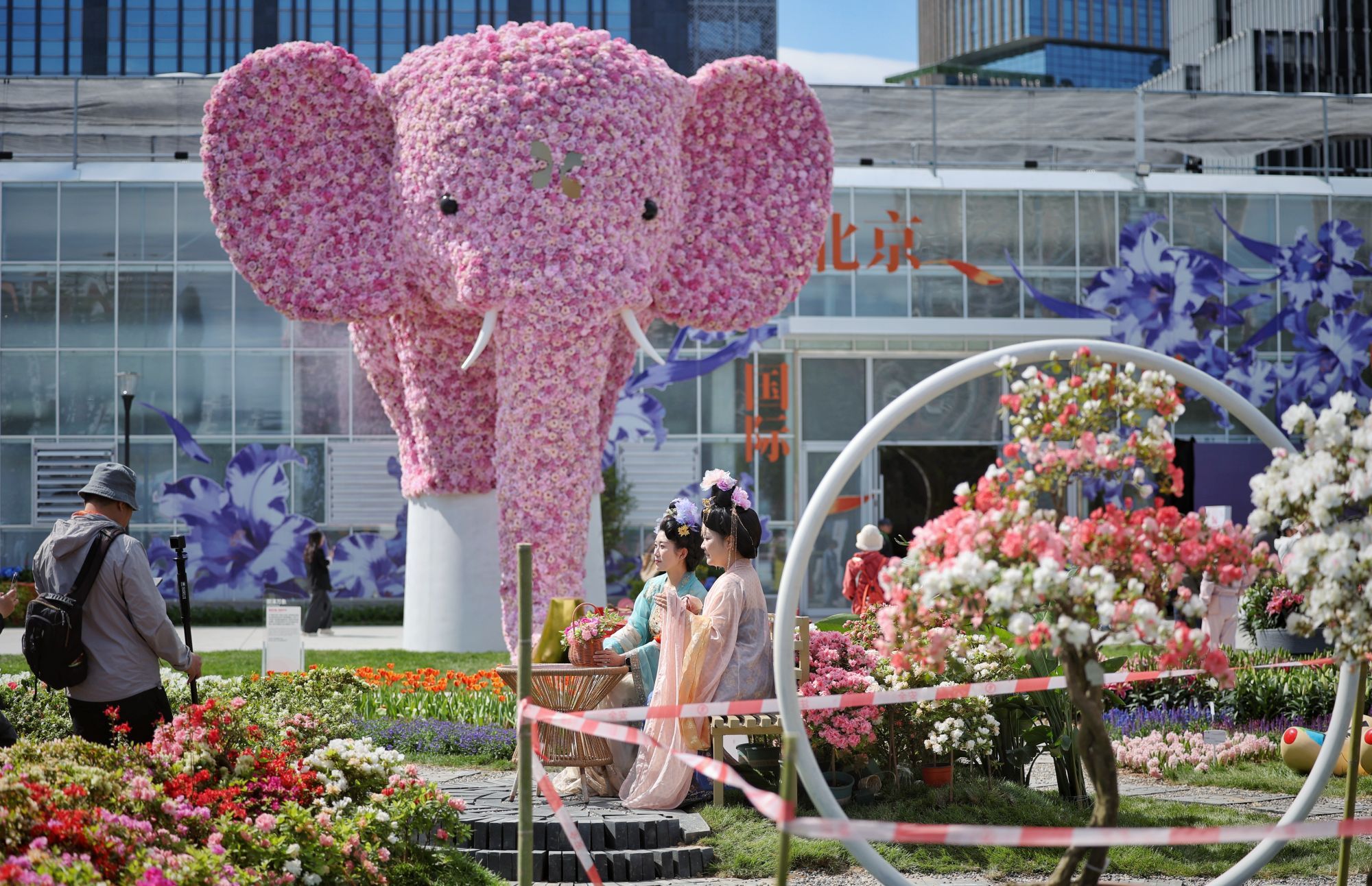 北京国际花展开幕超1000种主流及珍稀花卉亮相(图2)