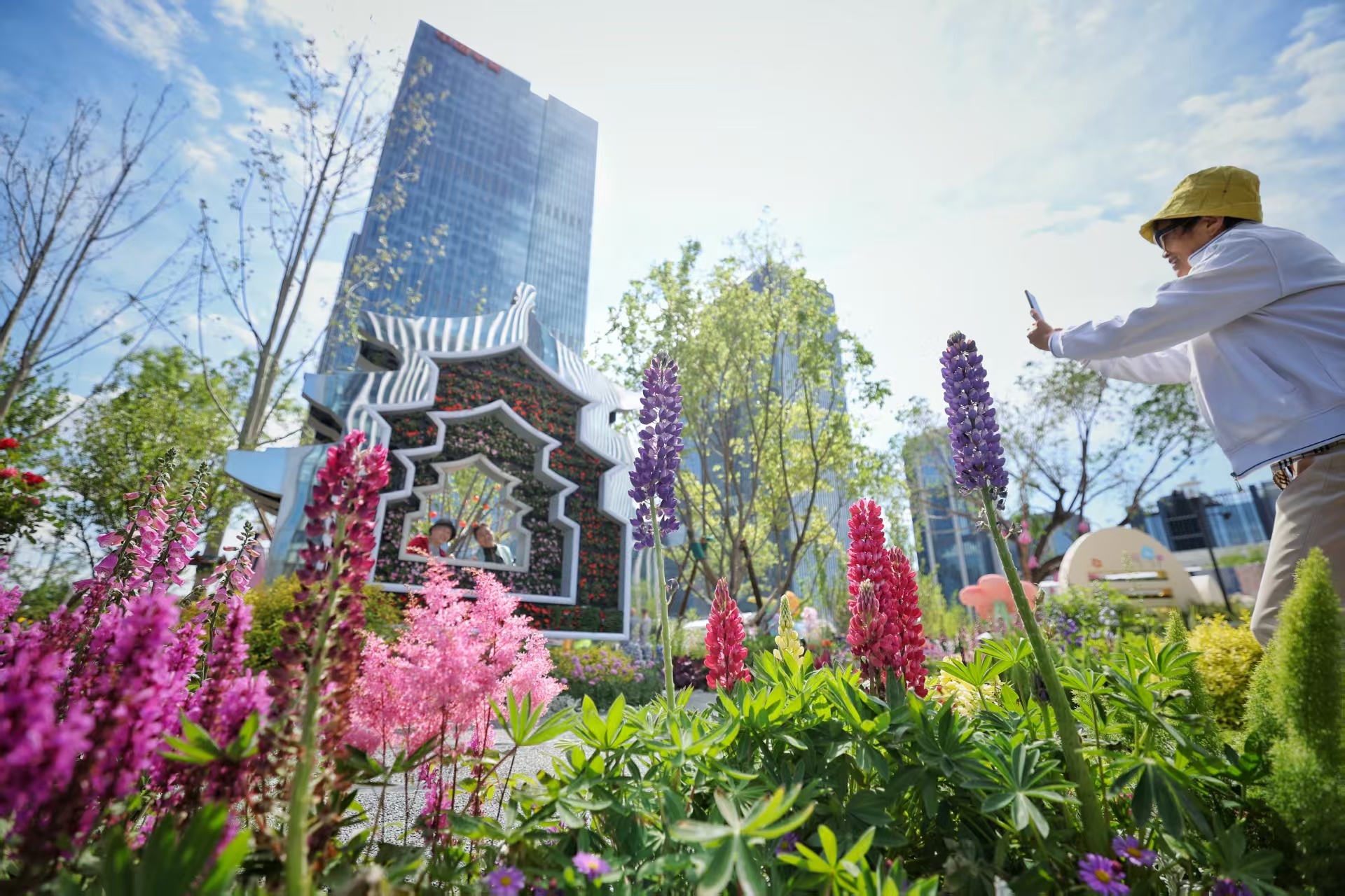 北京国际花展开幕超1000种主流及珍稀花卉亮相(图3)