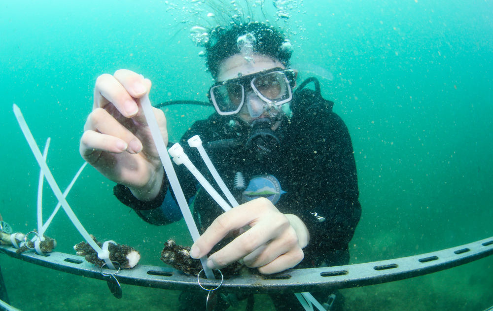 海南更新了一张新名片请查收(图19)