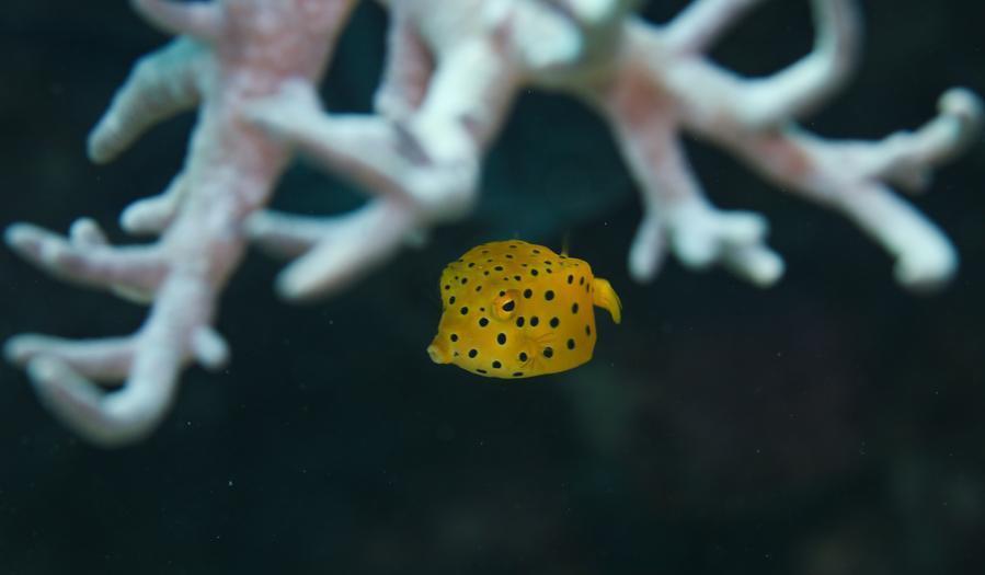 海南更新了一张新名片请查收(图21)