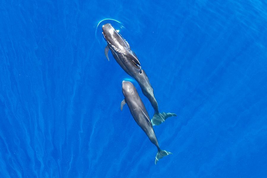 海南更新了一张新名片请查收(图22)