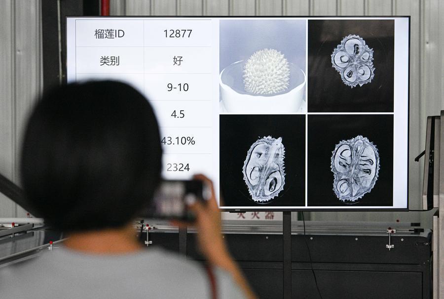 海南更新了一张新名片请查收(图37)