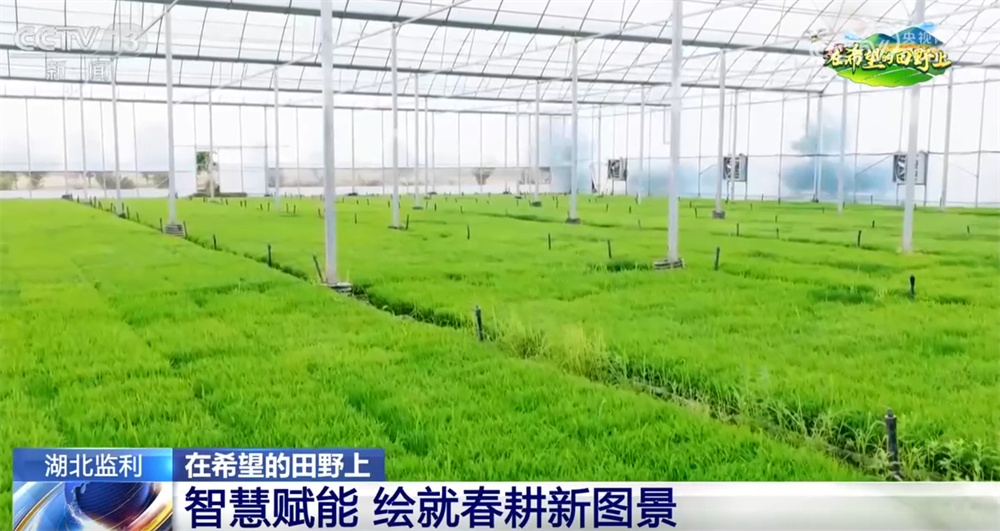智能化设备推动传统农耕向“数智化+绿色化”转型 田间地头绘就“新”图景(图1)
