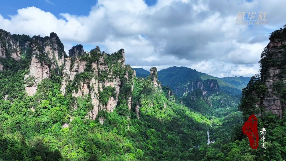 千城百县看中国｜湖南：初夏寻踪“稀客”现身(图1)