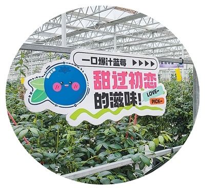 在兴安盟遇见22℃的夏天——“兴安盟最美乡村媒体行”见闻(图2)