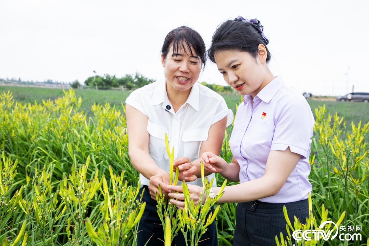 聚焦闽宁协作三十年㉗︱架桥山海间农行宁夏分行以金融之力书写“山海情”时代答卷(图6)