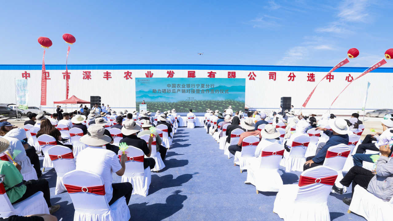 深化闽宁协作 农业银行宁夏分行以产销对接助力硒砂瓜走出宁夏