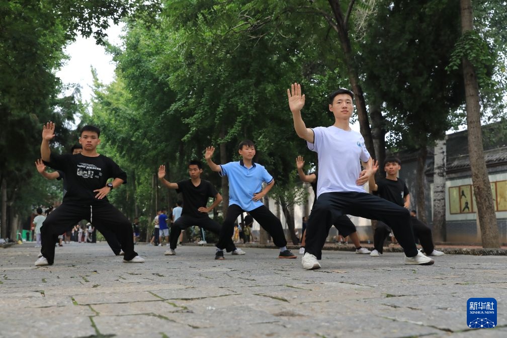 河南温县：太极拳牵起跨国情缘(图4)