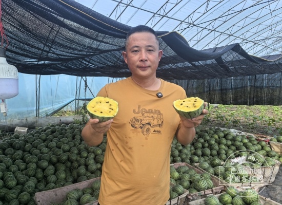 吉地振兴·沃土向新|读懂吉林农业的变(图4)