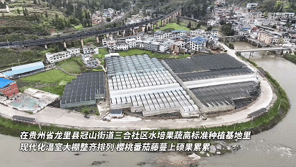 山乡新画卷：靠天变靠屏智慧农业蹚出新路子(图1)