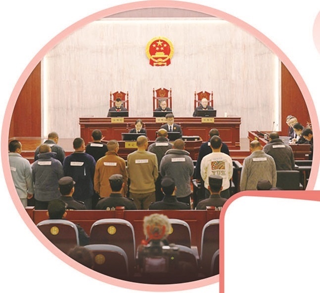 一艘故意遮挡船号的“三无”渔船在我国专属经济区海域疯狂逃窜还往海里抛下装满赃物的泡沫箱。这起海警巡航中意外查获的案件牵出了一个分工严密的19人犯罪团伙——谁在非法采捕“深海灵物”红珊瑚(图3)