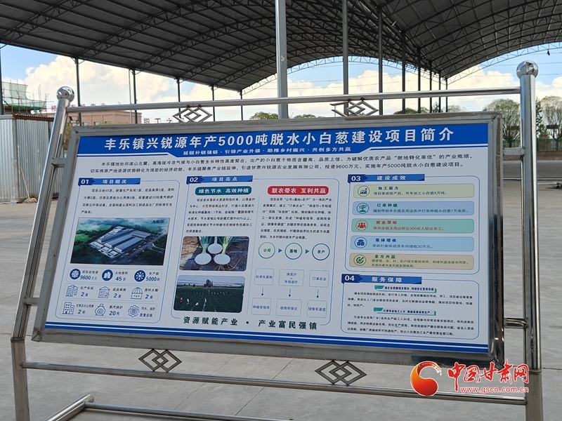 2026百家媒体看民乐|投资9600万元丰乐镇小白葱深加工项目建设跑出加速度(图2)