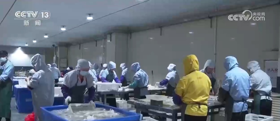 人气火、消费旺！千帆竞发开启“海上秋收”花样新业态让传统渔业焕发文旅新活力(图3)