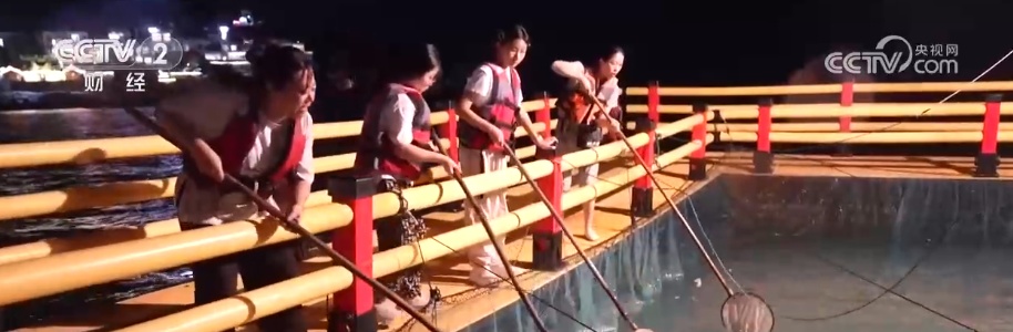 人气火、消费旺！千帆竞发开启“海上秋收”花样新业态让传统渔业焕发文旅新活力(图4)