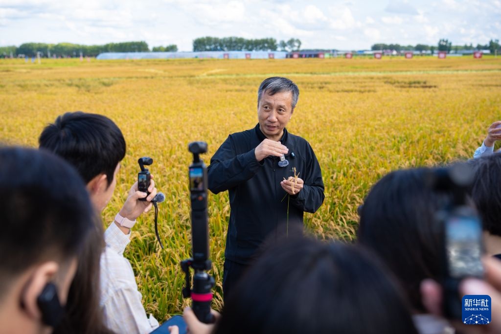 活力中国调研行丨黑龙江绥化：守护黑土选育良种(图5)