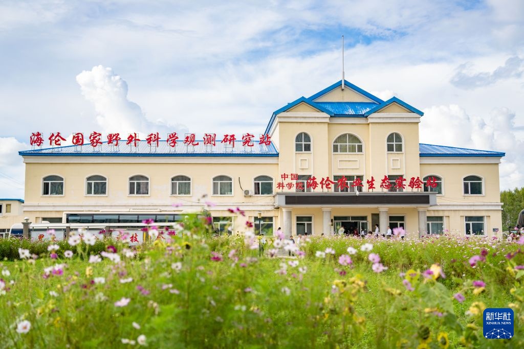 活力中国调研行丨黑龙江绥化：守护黑土选育良种(图6)