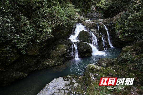 平均氣溫168度的避暑勝地洞口羅溪國有林場