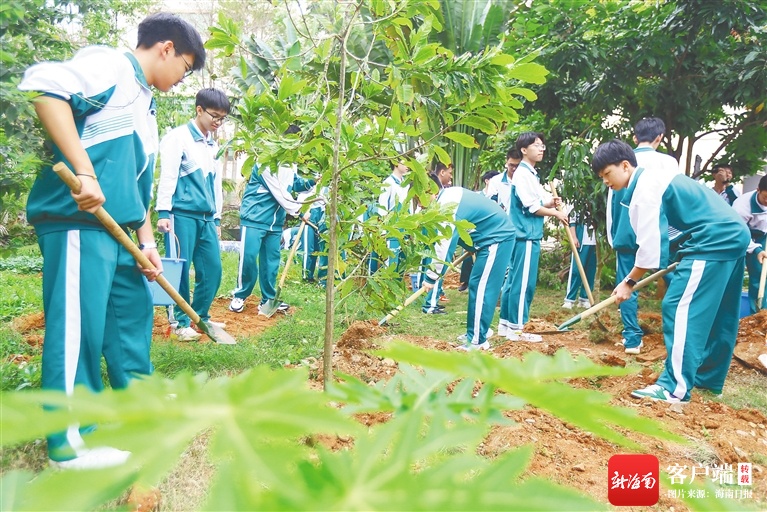 海口中小学生积极参与义务植树活动