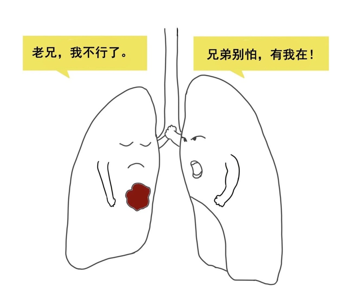 肺癌晚期症状_资讯_价格_新闻_使用说明