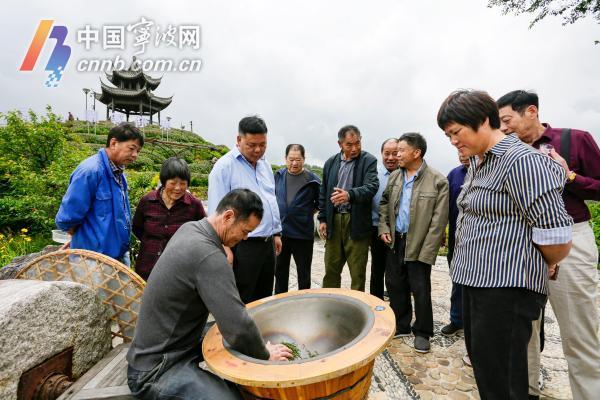 迈向共富路·今天我发布宁海深甽望海茶专场发布会在宁海县深甽镇