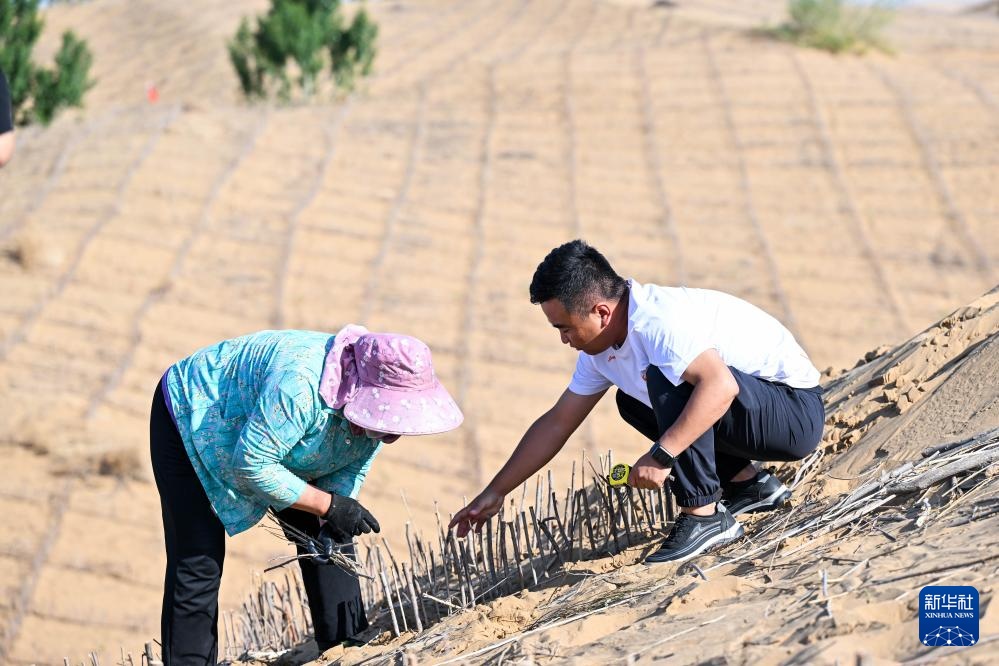 6月5日,在内蒙古杭锦旗境内的库布其沙漠一处治沙点,李挺(右)与治沙