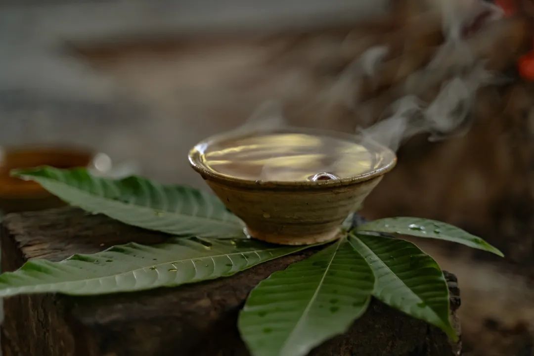 景迈山与武夷山的“对话”即将开幕！