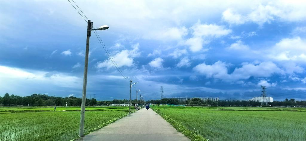 “一程多站”漫游湾区