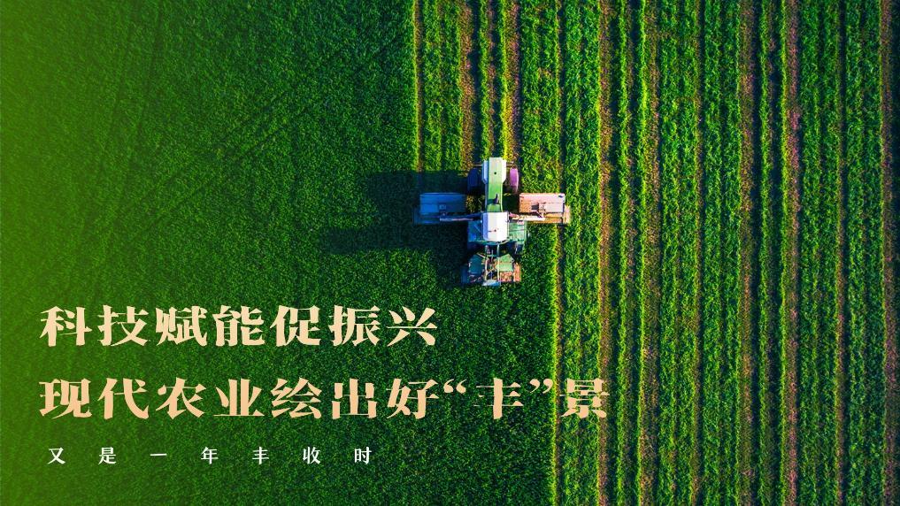 又是一年丰收时丨科技赋能促振兴 现代农业绘出好“丰”景