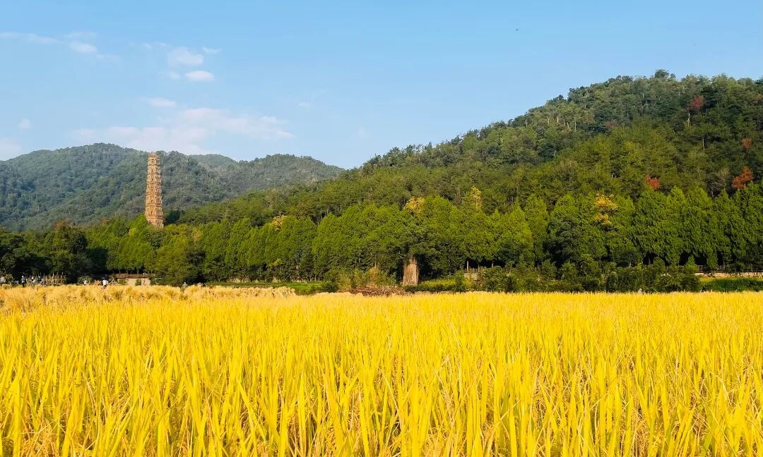 天台和合“美学”藏不住了 2025和合文化论坛即将开幕