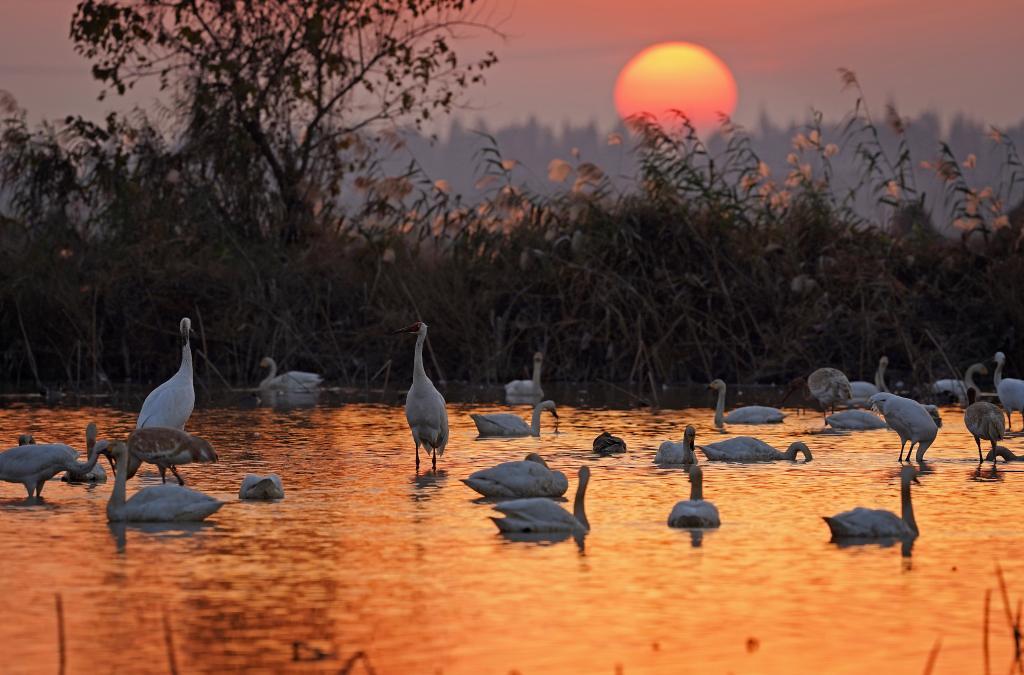 心动吗？这些冬日美景错过了就要再等一年！
