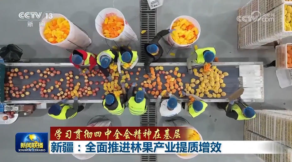 【学习贯彻四中全会精神在基层】新疆：全面推进林果产业提质增效 云南：做优做强特色产业 助力乡村振兴