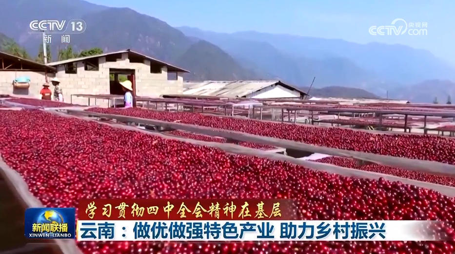 【学习贯彻四中全会精神在基层】新疆：全面推进林果产业提质增效 云南：做优做强特色产业 助力乡村振兴