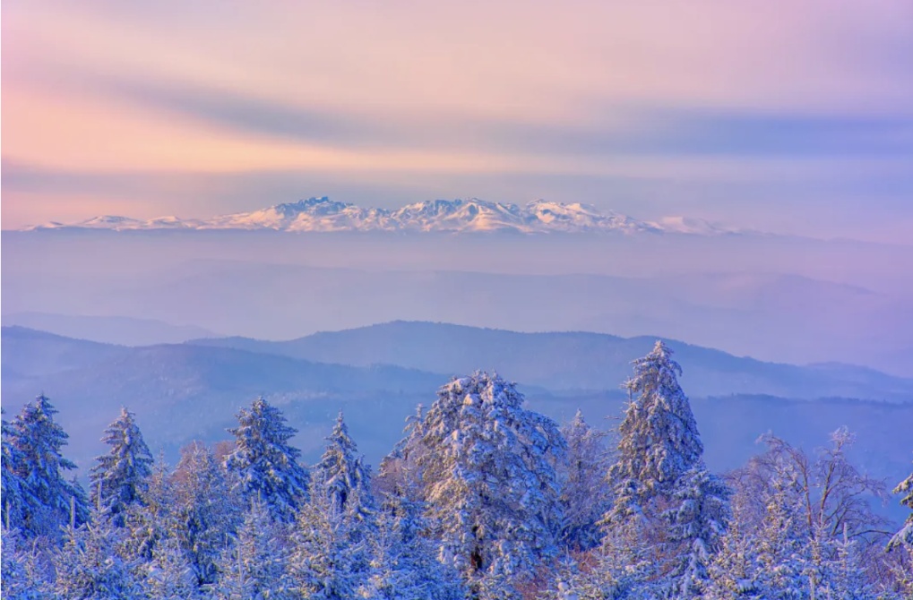 今日大雪，要做这些事！