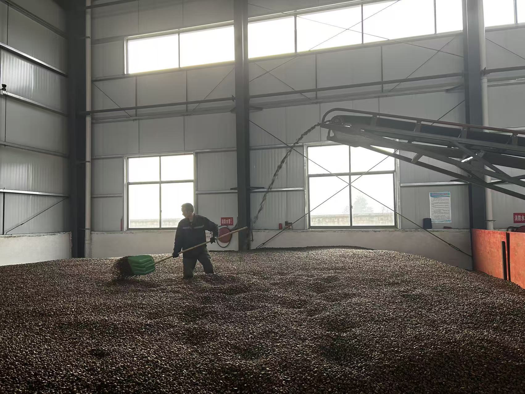 河南信阳浉河区:茶油飘香出深山